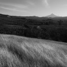 Fertile Valley